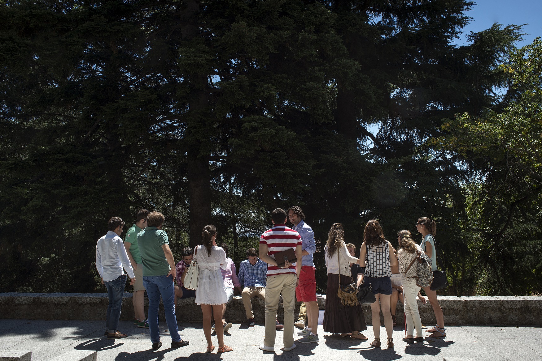 Cursos reconocidos por la Consejería de Educación de la Comunidad de Madrid para el profesorado de enseñanzas no universitarias